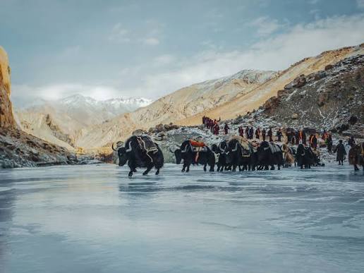Ladakh Through the Lens — Photography Expedition visual 7