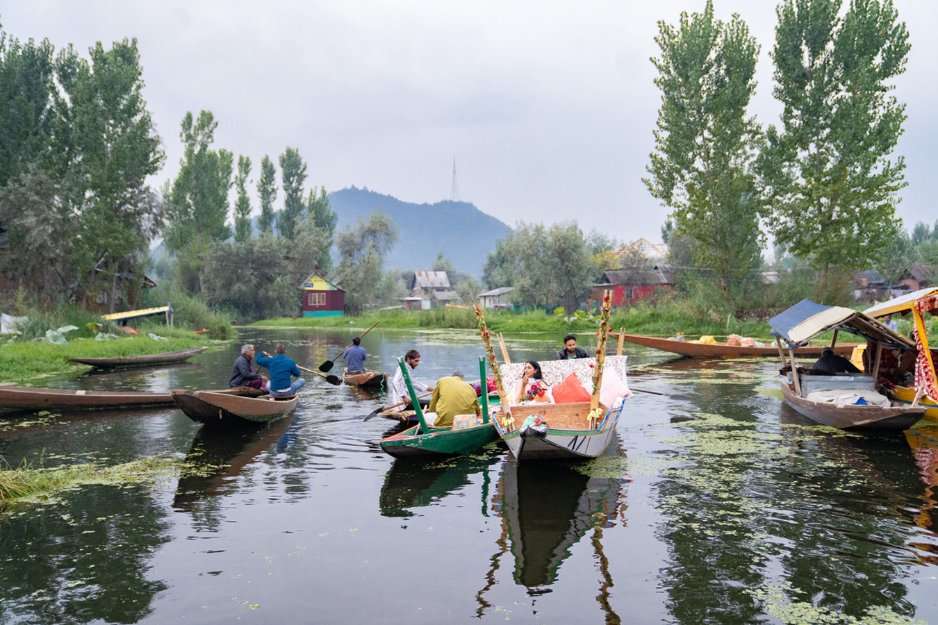 Kashmir in Bloom — Tulip Festival & Gurez visual 5