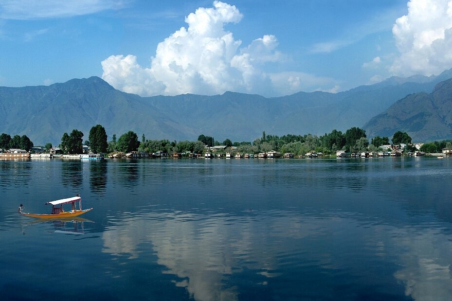 Kashmir in Bloom — Tulip Festival & Gurez visual 6