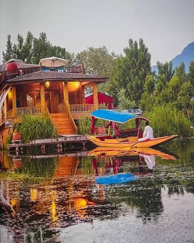 Kashmir in Bloom — Tulip Festival & Gurez visual 10
