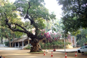 Thiruvannamalai Spiritual Retreat visual 3