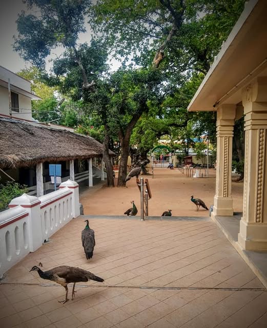 Thiruvannamalai Wellness Retreat visual 2