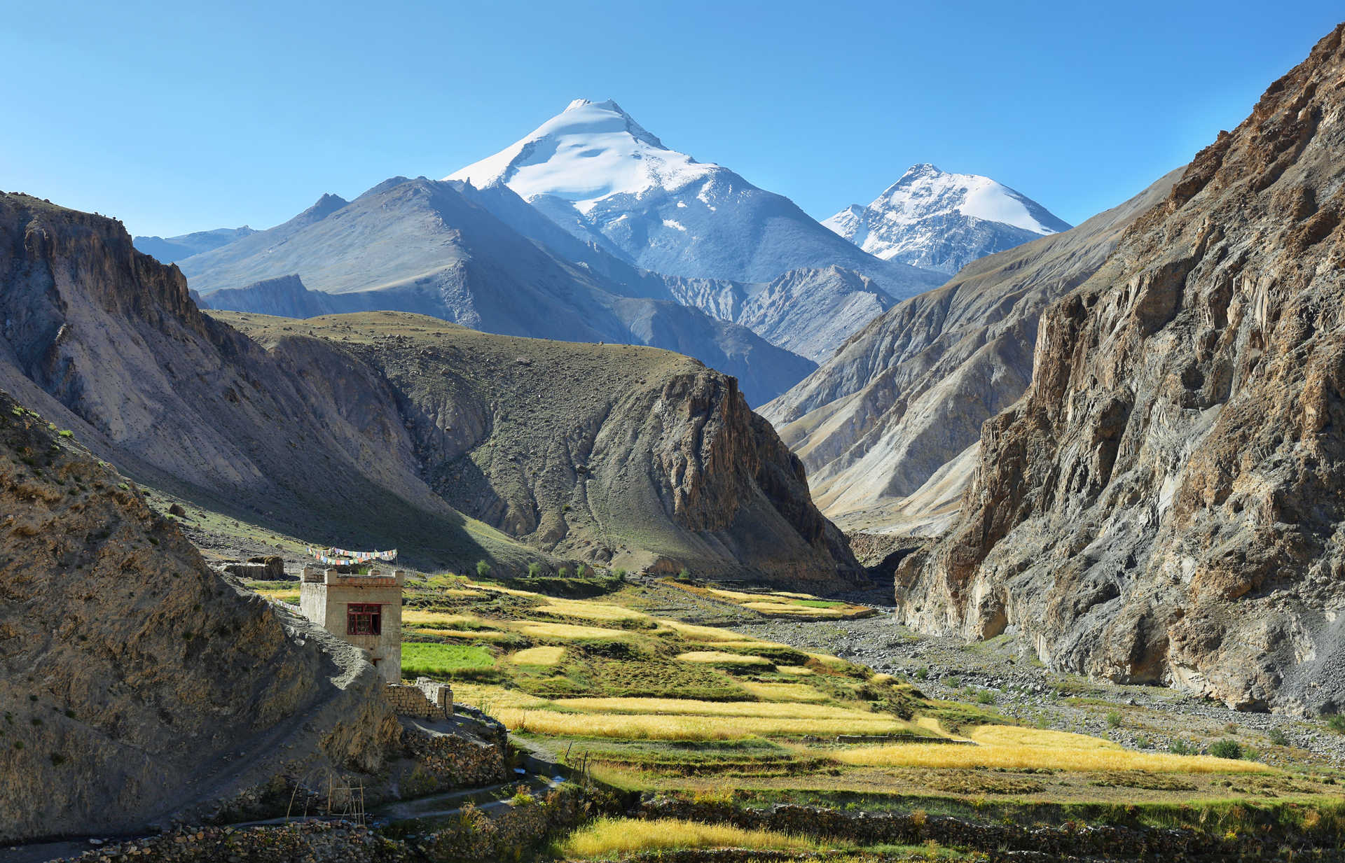 Ladakh Wellness Retreat visual 7